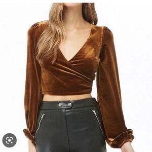 F21 Velour Cropped Top